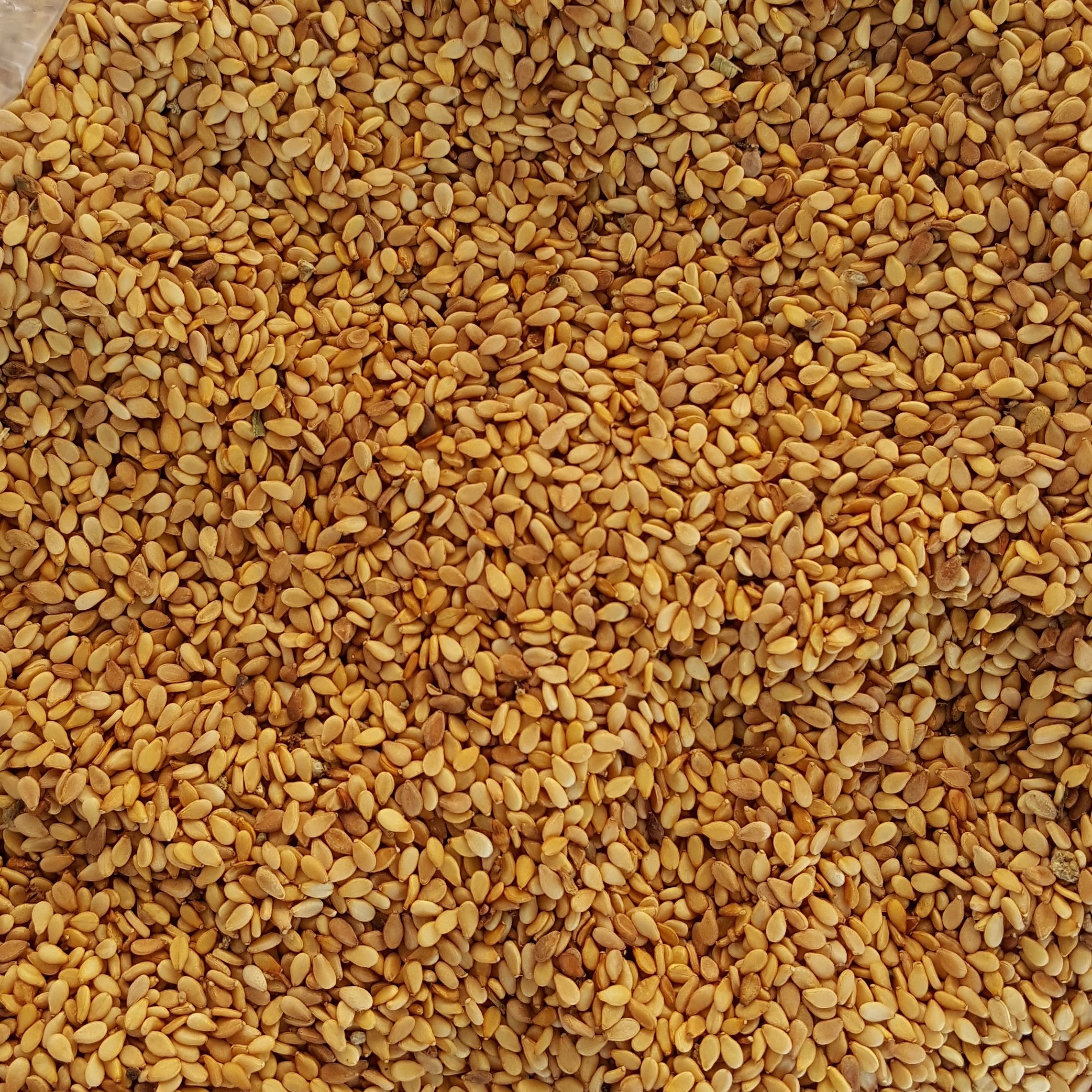 SUSAM SM  GESAŞ 25kg